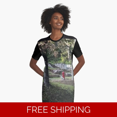 Le Studio Graphic T-Shirt Dress Front Yard 2019